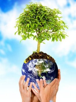 5 de junio: Día Mundial del Medioambiente